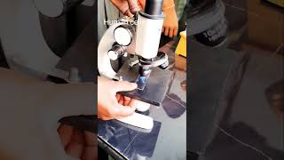 Human Cells  🔬 #science #trending #viral #learning #youtubeshort #facts #shortvideo #biology #learn