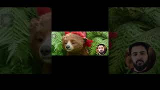 Paddington in peru part 01#funnochannel#wifemoney#selfdiscipline#discipline#movieclips