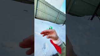 SNOWBALL FIGHT!