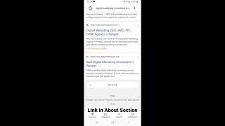 SEO Expert | Digital Marketing Consultant in Panipat | Grow With Tushar #shorts #seo #googleseo