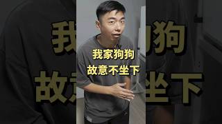 狗狗故意不坐下？｜熊爸估狗