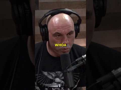 Elon Tells Rogan How Neuralink Brain Chip Will Work - Joe Rogan