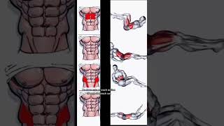 #fitness #sixpackexercise #gym #6pack #motivation #sixpack #workout #ac #acmotors #electricmotors