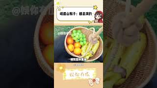 见过帮忙捡东西的大猩猩吗 #黑猩猩东东  #西霞口神雕山动物世界  #动物 #万物皆有灵性
