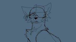 hollyleaf lip sink test