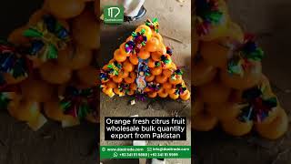 Orange Export From Pakistan | Custom Packaging | #food #importandexport #custompackaging #daatrade