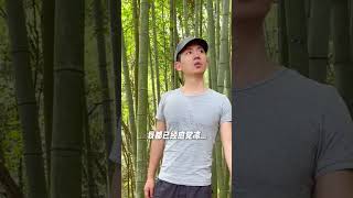 #记录真实生活 #随拍 #户外 #竹林 #乡村生活里的惬意松弛 星城蛙姐