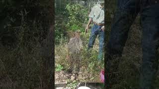 4th reason why your garden is behind