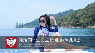 孙浩雨 - 生命之枪 (DJ小鱼儿 Mix) | Sheng ming zhi qiang