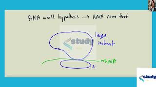 [Biology] The RNA world hypothesis proposes that the first complex molecule was RNA and it precede