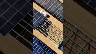 What a great view 😍#solar #education #solarfarm #drone #future