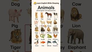 learn English well @refugiomental6032#africa # Europe very well to all #languagelessons
