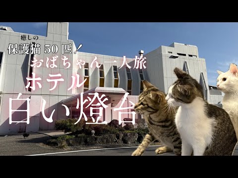 第1話　保護猫50匹に癒されまくるホテル白い燈台へ行ってきました