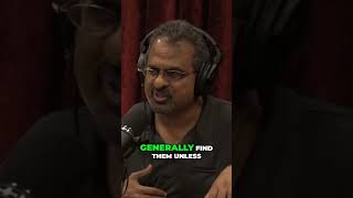 The Future of AI in Search: PART.2 #youtubeshorts #podcastpanorama #shorts #fyp