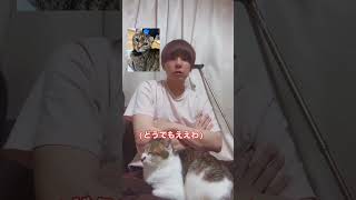 Cat falls asleep while owner explains his broken leg