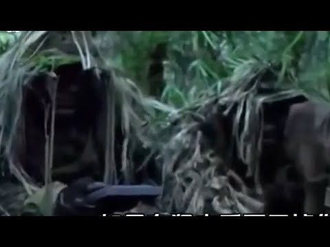 有的狙击手打头，有的狙击手打身，你知道为什么吗？看了就知道了