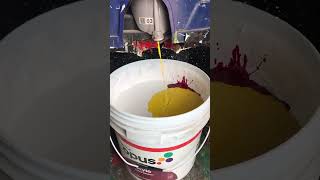 Birla Opus Distemper| Free Paint #shorts #viralvideo #paintmixing #shortvideo #explore #birla
