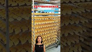 #fcnfm The Essential Drying Cabinet for Fruits, Vegetables, and Medicinal Herbs
