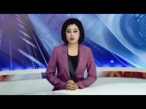 Funny news