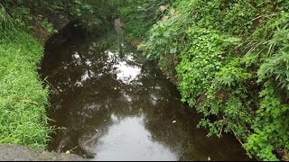 中油爆管 草濫溪變黑河綿延1公里
