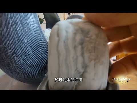 Traces left by sea creatures over millions of years亿万年海洋生物的痕跡