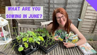 What To Sow In June - Allotment Gardening For Beginners UK