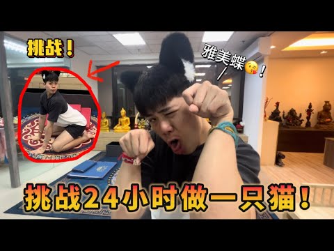 【挑战】24小时做一只猫咪！我竟然被别人打了？！原因是因为我太恶心…………