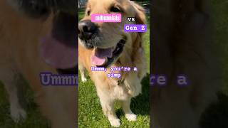 Millennial dog vs GenZ dog 🐶 #funnydogshorts #dogs #millennials #genz #genzhumor #funny #goldendog
