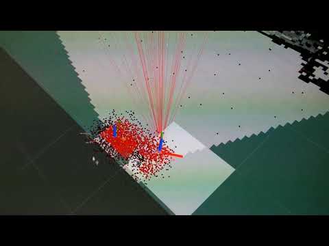 Roach vid final