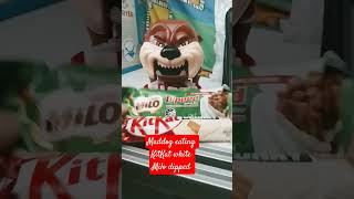 maddog eating KitKat white&Milo dipped ASMR satisfying #youtubeshorts #viralvideo #trending #shorts
