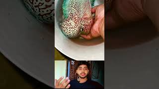 मछली क्या देखी ऐसी #shortsfeed #facts #shorts #short #viralvideo #viral #funny #duet