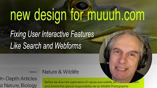 Fixing User Interactive Features Like Search and Webforms