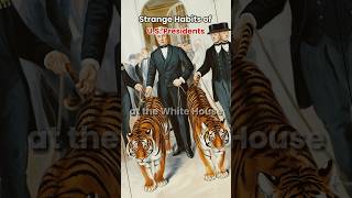 Interesting habits of US presidents #usahistory #history #historyofamerica #ushistory