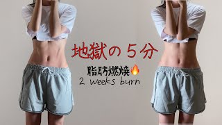 [5 min] The Fastest Way to Get Curves and 11 Line Abs