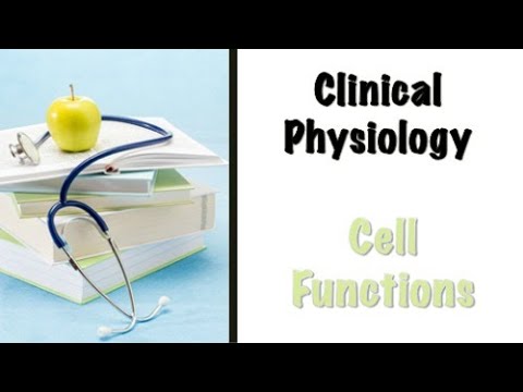 Cell Functions