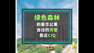 Central Park 中央公园 自住好介绍 JB 自住第一首选 来回CIQ