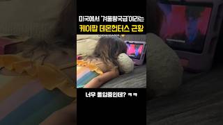 미국에서 '겨울왕국급'이라는 케이팝 데몬헌터스 ㄷㄷ