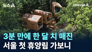 3분 만에 한 달 치 매진…서울 첫 휴양림 가보니 / 채널A / 뉴스A