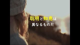 聡明と知恵は異なるものだ