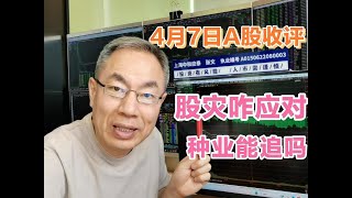 A股放量暴跌成交16187亿！汇金进场止跌企稳？种业一枝独秀