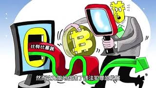 中本聪的谎言，比特币的谎言，加密货币的谎言，虚拟货币的谎言
