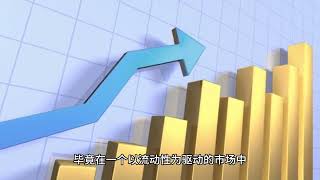 财经知识分享平台