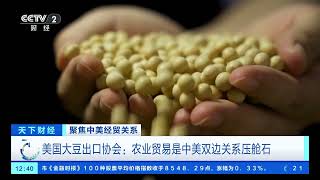 [天下财经]聚焦中美经贸关系 专家：农业是中美贸易黏合剂 未来合作空间大 | 新闻来了 News Daily