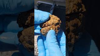 #104 Cutting Thunderegg, #agate #shorts