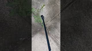 Don't Let Weeds Ruin Your Garden or Driveway! The Latest Weed Killers Are Fast & Effective!