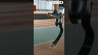 寻找生命意义：内心的选择与成长