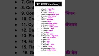 english vocabulary ll #englisgrammar