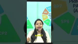 Mastering Communication and Modeling Skills in Excel