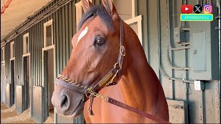 Preakness Stakes Winner Journalism The Morning After Sensational Victory
