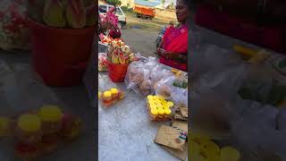 Vaikasi Visakam|Minion Diaries#vaikasi#murugankovil#eveningroutine#murugan#visagam#kovil#trend